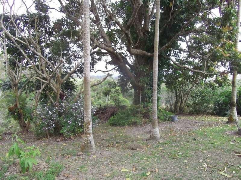 Lake Eacham QLD 4884