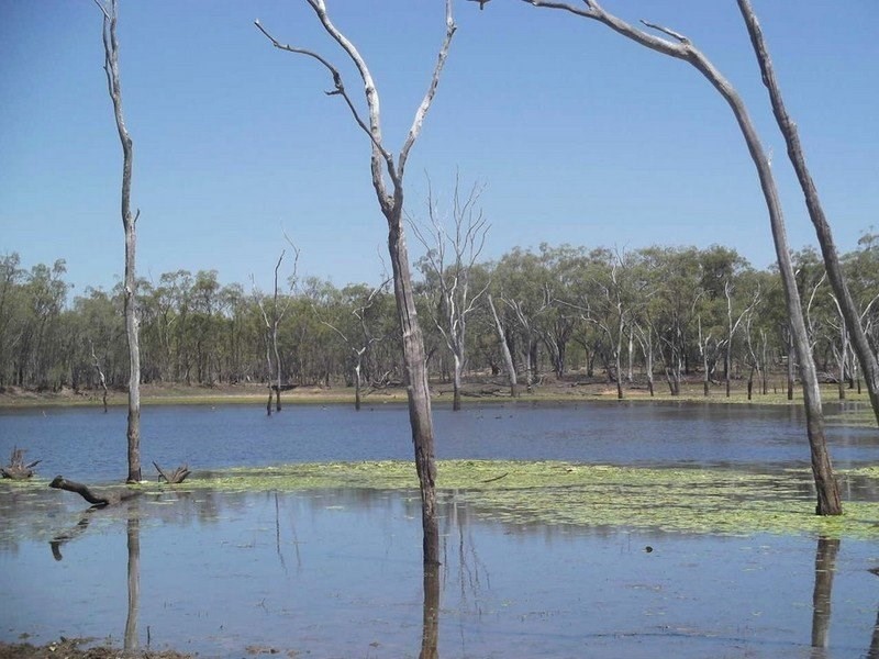 Mount Garnet QLD 4872