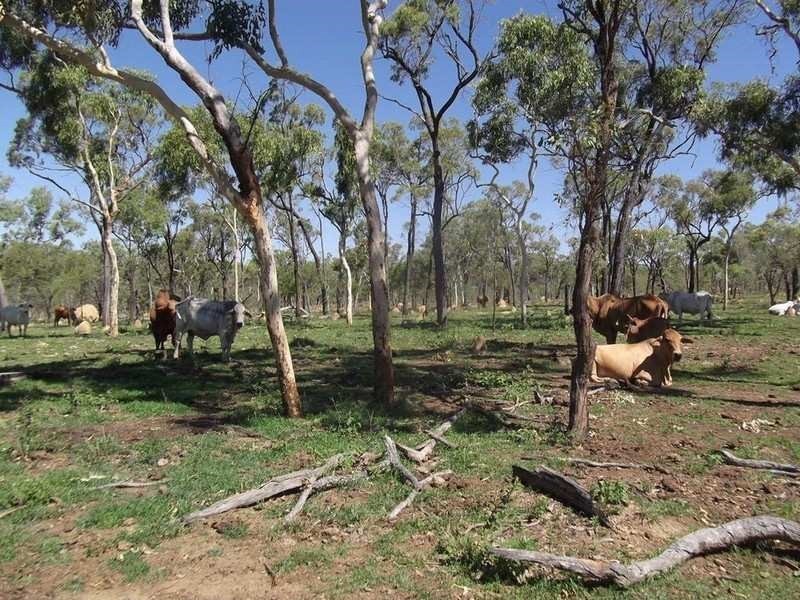 Mount Garnet QLD 4872