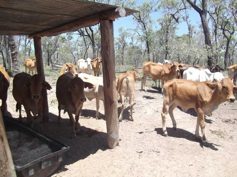 Mount Garnet QLD 4872