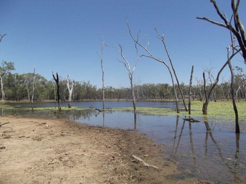 Mount Garnet QLD 4872