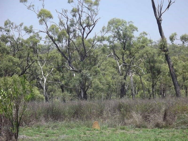 Mount Garnet QLD 4872