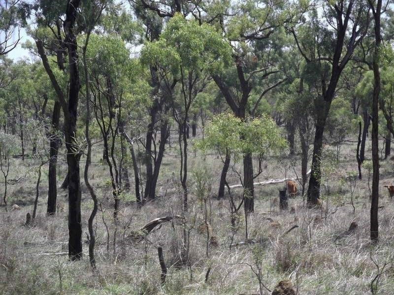 Mount Garnet QLD 4872
