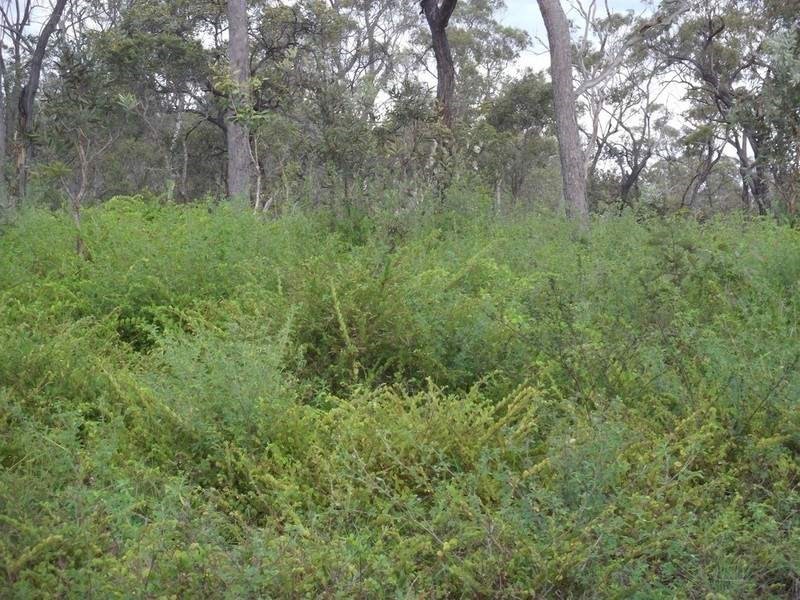 Mount Garnet QLD 4872