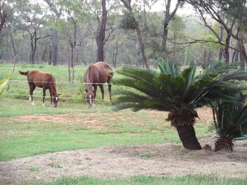 Mount Garnet QLD 4872