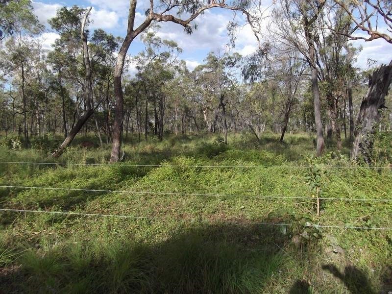 Mount Garnet QLD 4872