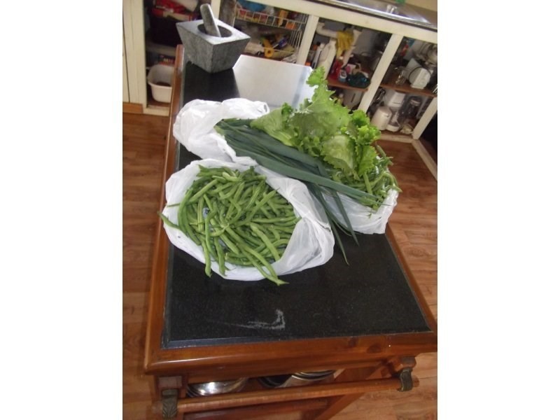 Mount Garnet QLD 4872