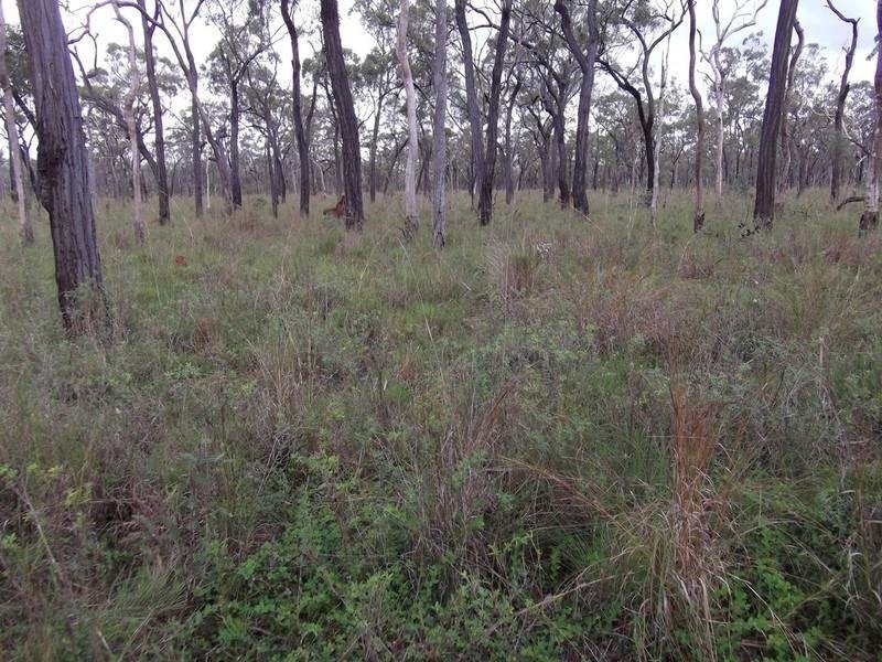 Mount Garnet QLD 4872