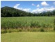 Mossman QLD 4873