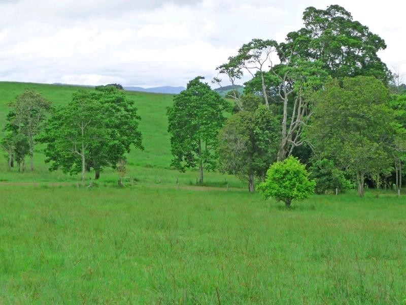 Yungaburra QLD 4884