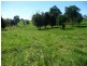 Yungaburra QLD 4884
