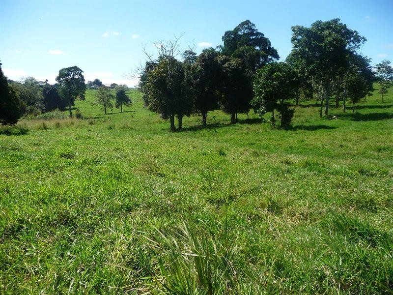Yungaburra QLD 4884