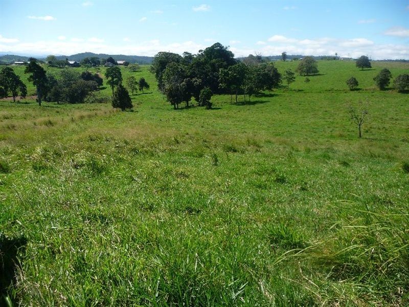 Yungaburra QLD 4884