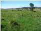 Yungaburra QLD 4884