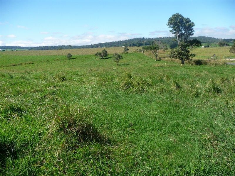 Yungaburra QLD 4884