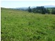 Yungaburra QLD 4884
