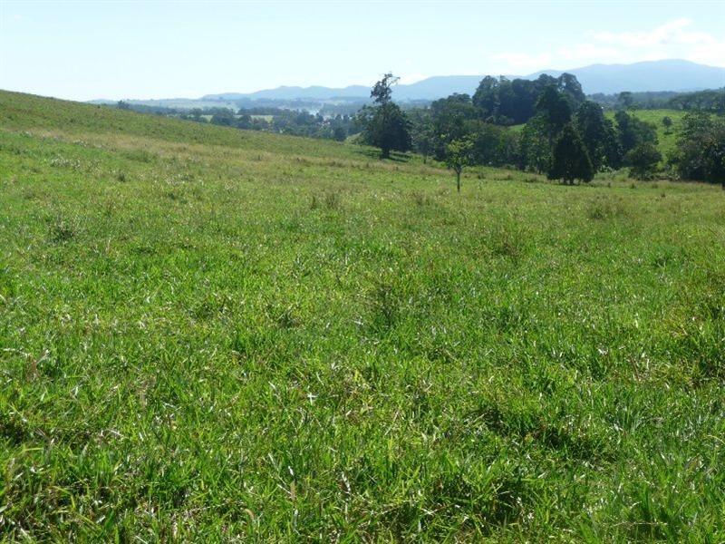 Yungaburra QLD 4884