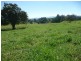 Yungaburra QLD 4884