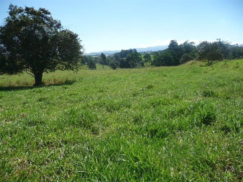 Yungaburra QLD 4884