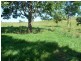 Yungaburra QLD 4884