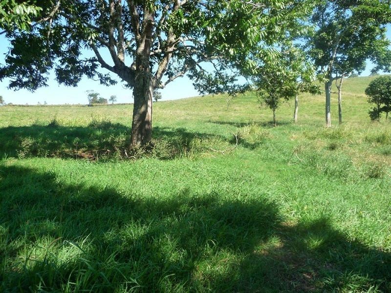 Yungaburra QLD 4884