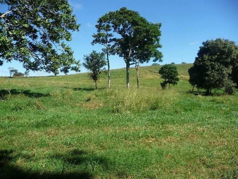 Yungaburra QLD 4884