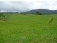 Millaa Millaa QLD 4886