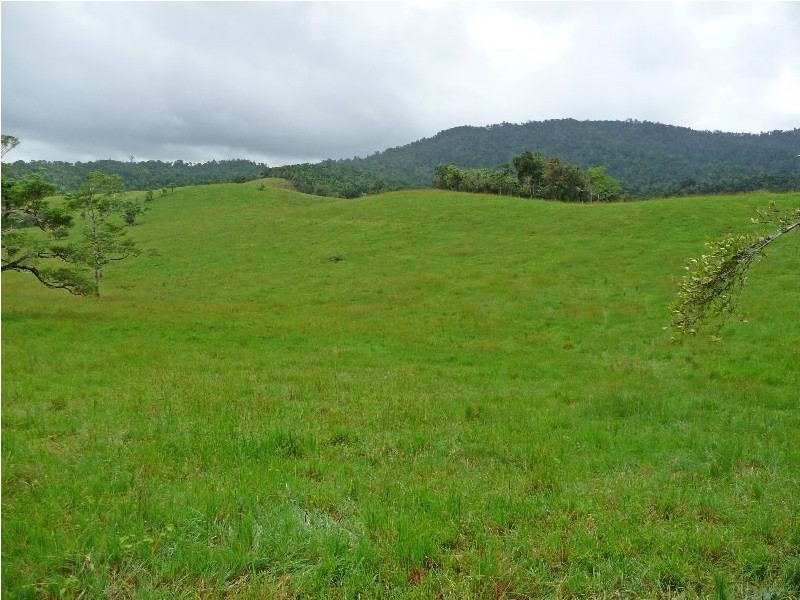 Millaa Millaa QLD 4886