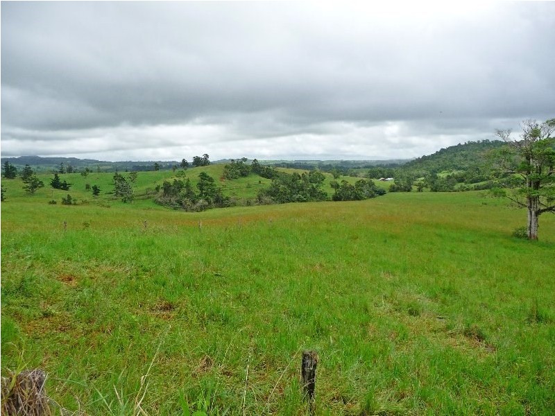 Millaa Millaa QLD 4886