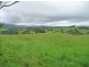 Millaa Millaa QLD 4886