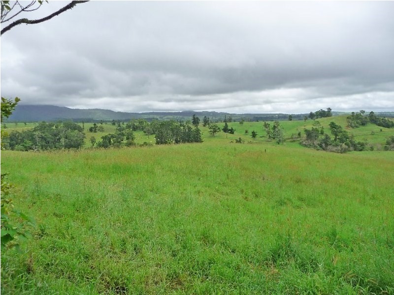 Millaa Millaa QLD 4886