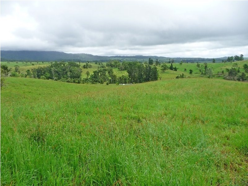 Millaa Millaa QLD 4886