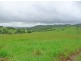Millaa Millaa QLD 4886
