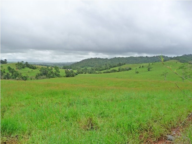 Millaa Millaa QLD 4886