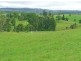 Millaa Millaa QLD 4886