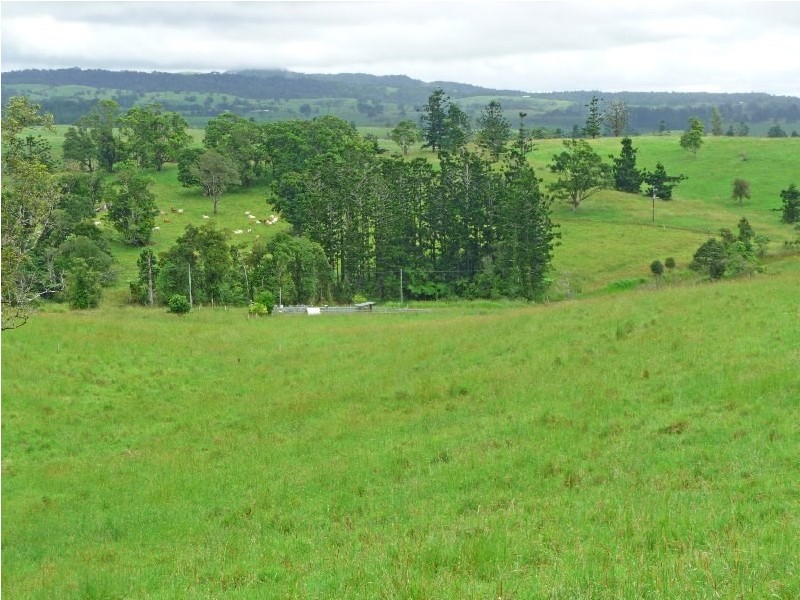 Millaa Millaa QLD 4886