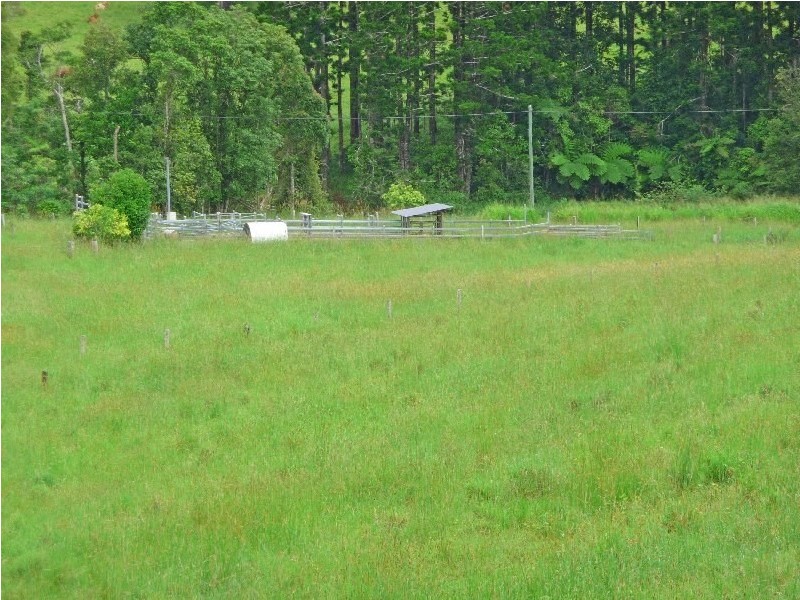 Millaa Millaa QLD 4886