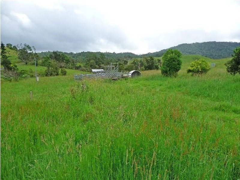 Millaa Millaa QLD 4886