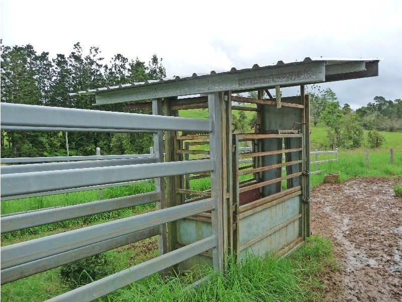 Millaa Millaa QLD 4886