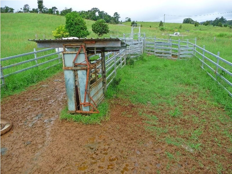 Millaa Millaa QLD 4886