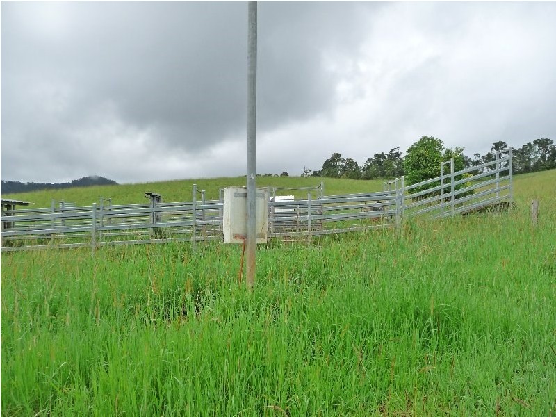 Millaa Millaa QLD 4886