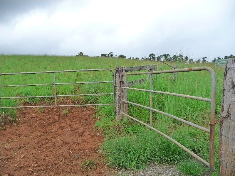 Millaa Millaa QLD 4886