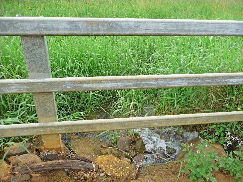 Millaa Millaa QLD 4886