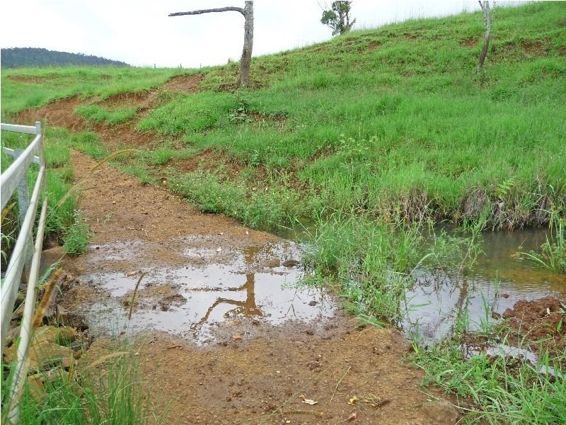 Millaa Millaa QLD 4886