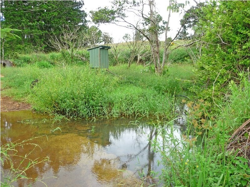 Millaa Millaa QLD 4886