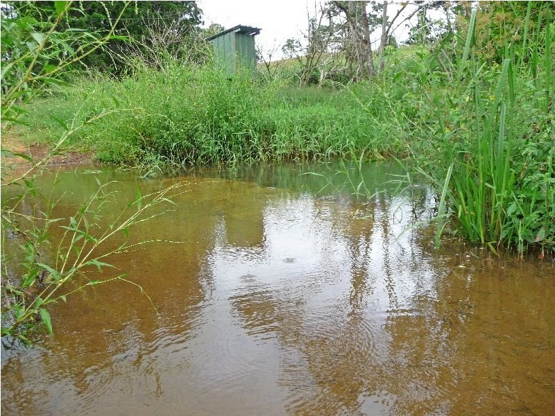 Millaa Millaa QLD 4886