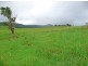 Millaa Millaa QLD 4886