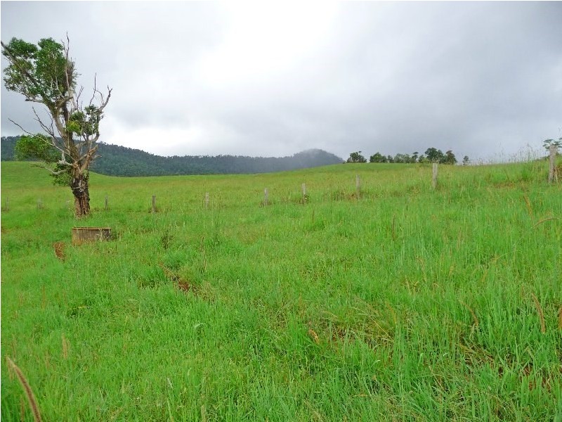 Millaa Millaa QLD 4886