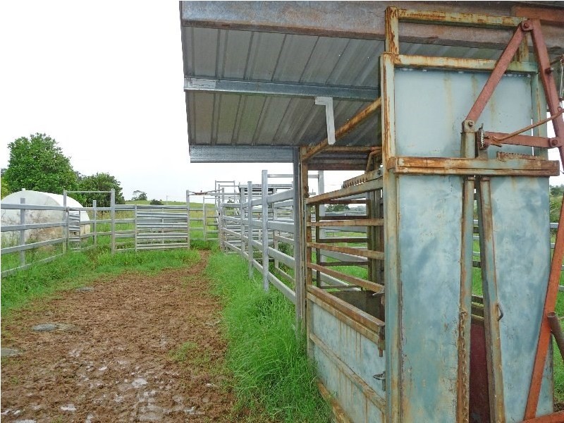 Millaa Millaa QLD 4886