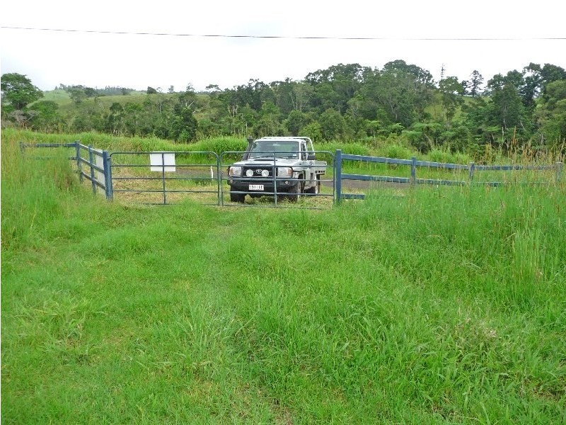 Millaa Millaa QLD 4886